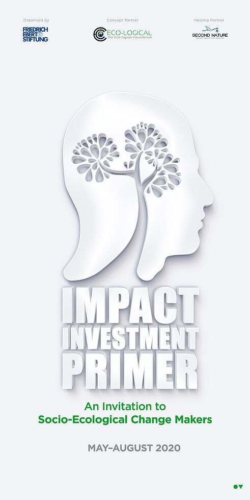 Impact Investments Primer Brochure