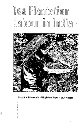 Tea plantation labour in India